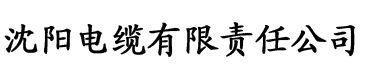 久久成人麻豆午夜电影电缆厂logo